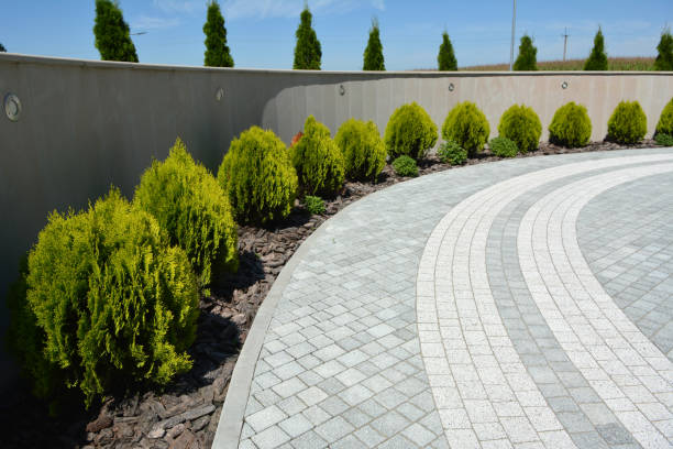 Best Driveway Paving Company  in Three Rivers, CA